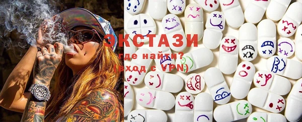 ECSTASY Гусь-Хрустальный