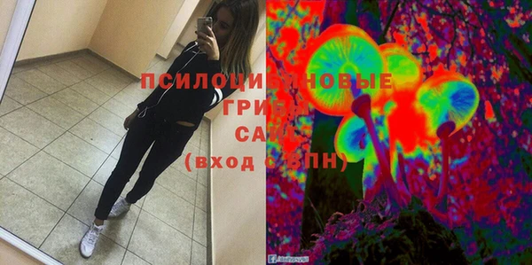 эйфоретик Алзамай